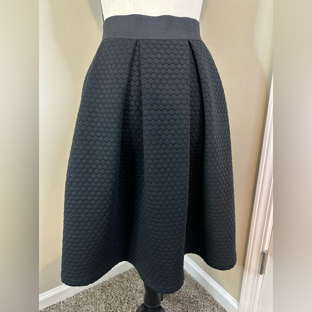 Small Black Women’s Pleated A-line skirt with honeycomb pattern accent